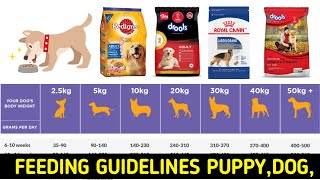 How much food to feed your puppy  Veterinary Approved [upl. by Eidur]