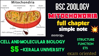 BSC ZOOLOGYMITOCHONDRIAS5cell and molecular biologychapter explanationkerala universityമലയാളം [upl. by Jethro508]