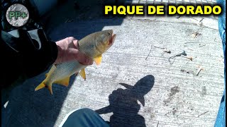 Pesca en Costanera Norte  salió doradillo PESCA PASEOS Y ALGO MAS [upl. by Ellenrad]