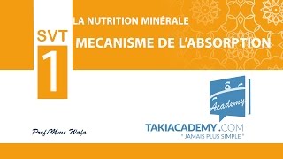 1ère annéeSVT03 mecanisme de labsorption [upl. by Dnivra550]