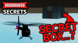 The BROOKHAVEN SECRET That You DIDNT KNOW All Updated Brookhaven 🏡RP Secrets 2021  Roblox [upl. by Tobin]