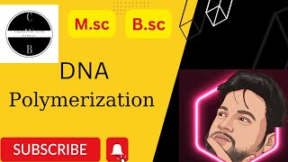 DNA Polymerization  Replication  Bioinorganic  Msc  Bsc  chemistry uok [upl. by Hera]