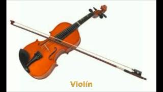 VIOLIN SOUND [upl. by Aerahs]