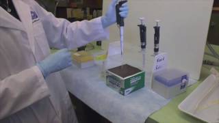 Pipetting Pipetman and ForwardReverse Pipetting [upl. by Seigler]