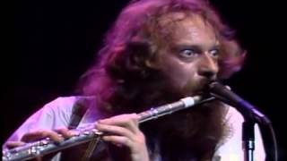 Jethro Tull  No Lullaby Flute solo live at [upl. by Arbe]