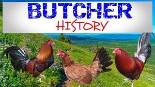 BUTCHER GAMEFOWL HISTORY [upl. by Aloisius]