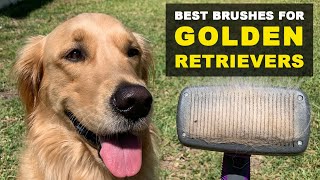 2 Best Brushes For Golden Retrievers That Shed A Lot [upl. by Anilam]