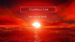 Dr Tumi  Udumo Lyrics Video [upl. by Sonia38]