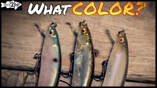 3 Jerkbait Color Selection Guidelines That Produce [upl. by Sorodoeht]