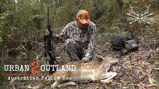 Fallow Deer Hunting during the rut  Scored a nice Doe  Victoria Australia [upl. by Debor]