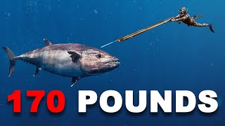 Spearfishing GIANT Dogtooth Tuna 90 ft Deep [upl. by Luke438]