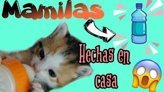 Como hacer Mamilas caseras para perritos 🐶 o gatitos 🐱 bebes👍👍 [upl. by Ramirolg624]