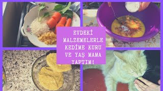 Kediler için kuru ve yaş mama tarifleriEvdeki malzemelerle 3 farklı mama tarifiFelicia Kedi Maması [upl. by Adnilrem]