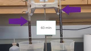 Classic Biology Experiments  Osmometer Experiment [upl. by Bohner]