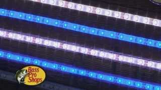 Bass Pro Shops Flexible LED Lighting Strips [upl. by Otreblig]