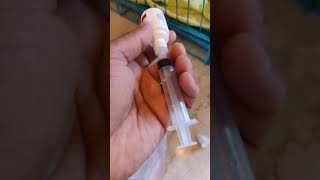 🦮🐶 🦊 How to use Melonex in dogs for Fever or Swelling 🐻 🐕 🐕‍🦺 [upl. by Demaggio830]