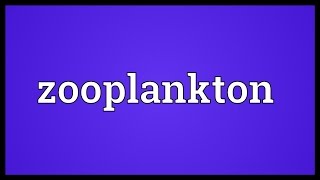 Zooplankton Meaning [upl. by Dott]