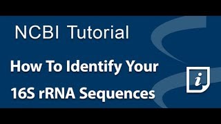 How To Identify Your 16S rRNA Sequences [upl. by Centonze716]