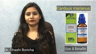 Carduus marianus 30Carduus 200Carduus mother tincture homeopathic medicine uses and benefits [upl. by Linad]