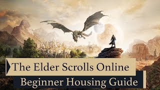 Sorcerer Overview and Skills showcase  Elder Scrolls Online [upl. by Nelia]