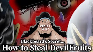 How Blackbeard Steals Devil Fruits  One Piece theory with Japanese Translator [upl. by Aneen996]