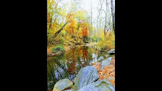 Cousteau The Last Good Day of the Year quotNewlin Gristmill amp Clayton Park autumn picturesquot 11918 [upl. by Yrred]