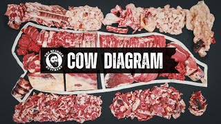 A Visual Guide to the Cuts of a Cow Where Every Beef Cut Comes From  By The Bearded Butchers [upl. by Eimaraj]