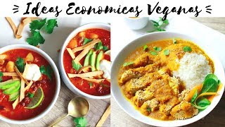 IDEAS ECONOMICAS VEGANAS  Katsu Curry amp Sopa Mexicana [upl. by Dennard17]