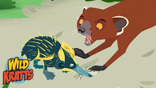 Creature Battles  Every Creature Showdown Part 18  New Compilation  Wild Kratts [upl. by Olnton760]