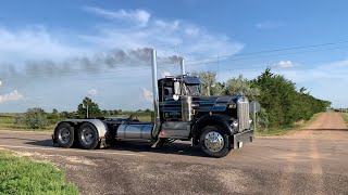 1979 Kenworth W900 w KTA 600 19 Liter 600 HP CUMMINS [upl. by Brigitta]