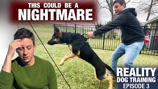 We need to talk This will NOT be easy Reality Dog Training Episode 3 [upl. by Roinuj]