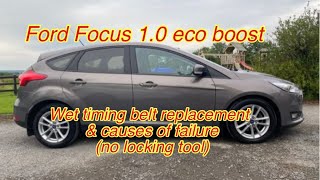 Ford Focus Wet belt replacement 10 eco boost with no locking tools 😬 [upl. by Huei]