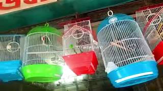 বিভিন্ন ধরনের চায়না খাচার দামChina Bird Cage Price in Bangladesh [upl. by Blake909]