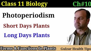 Photoperiodism  Short days plants  Long days plants  Day neutral plants  class 11th Biology [upl. by Neilson]