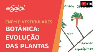 Me Salva BOT01  Botânica  Evolução das plantas [upl. by Ranjiv]