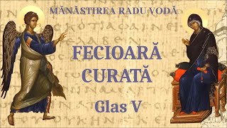 Fecioară curată glas 5  Mănăstirea Radu Vodă [upl. by Suk645]