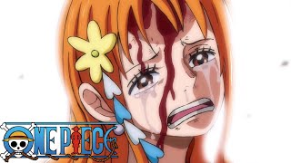 Nami says Luffy will become Pirate King  One Piece  Episode 1008 [upl. by Mossman]