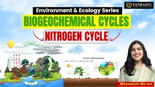 Biogeochemical CyclesNitrogen Cycle Environment amp Ecology Series Meenakshi Maam tathastuics [upl. by Assilav]