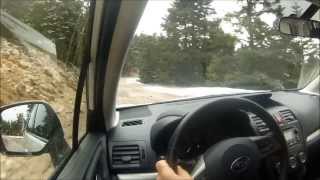 New subaru forester diesel test drive [upl. by Arianne297]