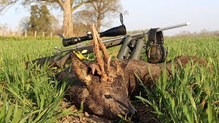 Rehbockjagd in England  roebuck hunting in England  Hunter Brothers [upl. by Ecreip]