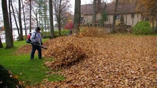 Redmax EBZ8500 Blowing Leaves Lawn Care Vlog [upl. by Bowne]