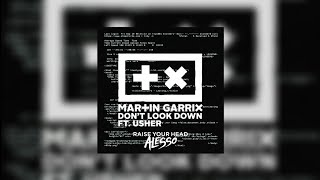 Leaving vs Raise Your Head vs Dont Look Down Martin Garrix Mashup  Blinders vs Alesso vs Martin [upl. by Gwenni]