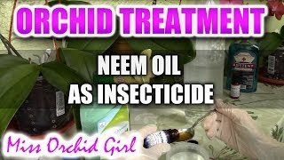 Using neem oil with Orchids  Recipe for a non toxic insecticide [upl. by Nipahc]