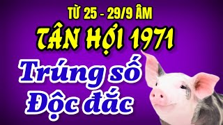 Vận trình Tân Hợi 1971 bừng sáng Từ 25 đến 299 âm Tiền vàng dồi dào đúng như thầy tử vi dự báo [upl. by Eirrem562]