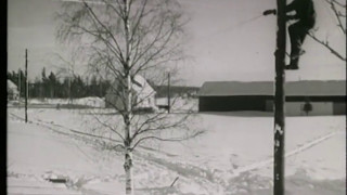 Electricity distribution in the countryside in 1956 in Swedish [upl. by Atinwahs]