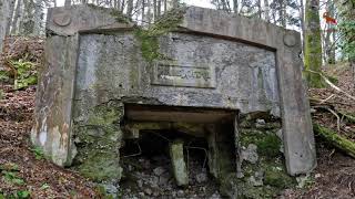 Le Hartmannswillerkopf Hier et Aujourdhui [upl. by Giselbert]