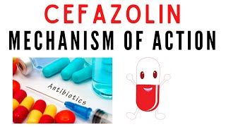 Cefazolin  Uses mechanism of action [upl. by Sotnas]