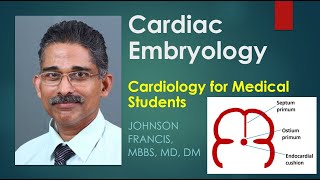 Cardiac Embryology  Cardiology for Medical Students [upl. by Raquela]