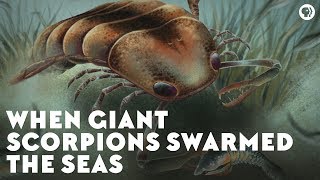 When Giant Scorpions Swarmed the Seas [upl. by Weidar]