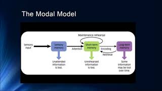 Cognition 4 1 The Modal Model and Sensory Memory [upl. by Yrojram654]